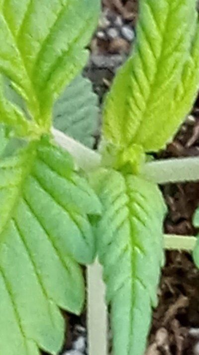 20230923_074459.jpg