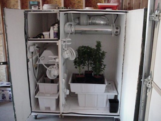 Captured 2004-3-26 00014.JPG