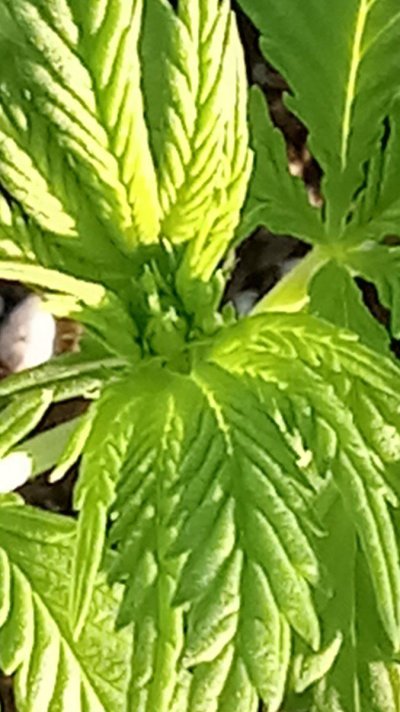 20231003_075830.jpg