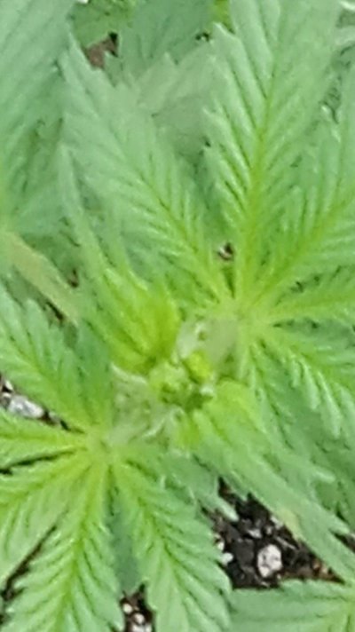 20231006_073952.jpg