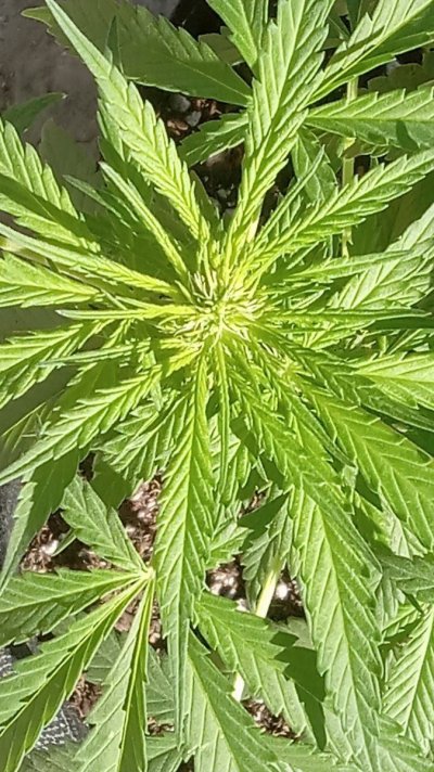 20231017_100429.jpg