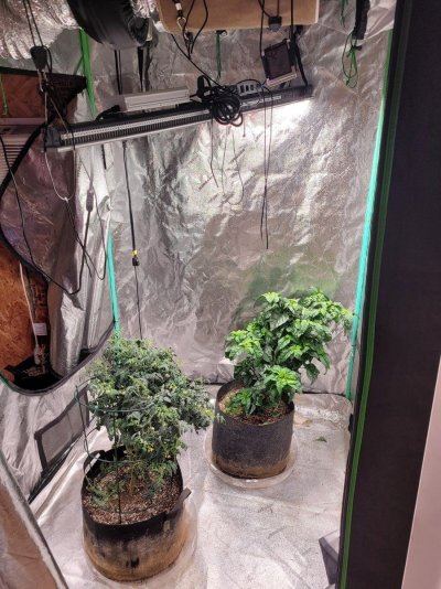 three-mars-hydro-sp-3000.jpg
