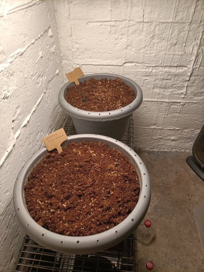 IMG20231020114742.jpg