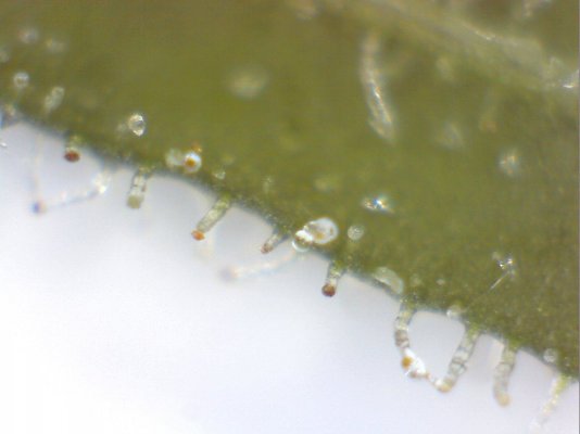 image13.jpg