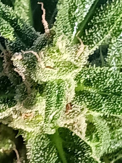 20231104_142300.jpg