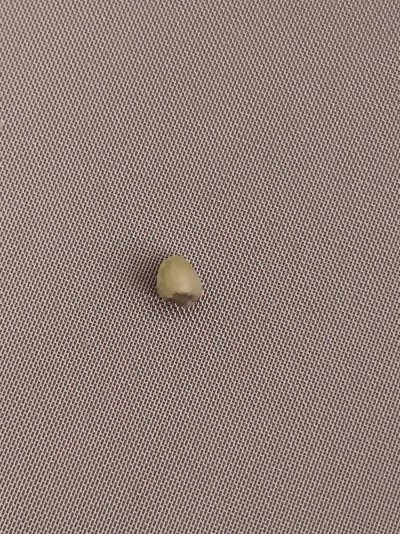 20231107_122300.jpg