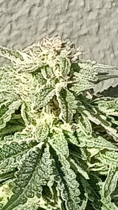 20231111_085558.jpg