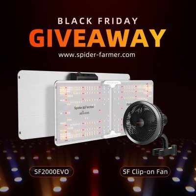 giveaway-sf2000-fan_.jpg