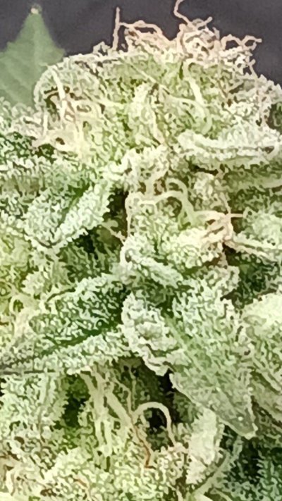 20231115_103136.jpg