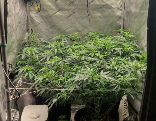 how-many-wattspar-for-3x3-tent.jpg