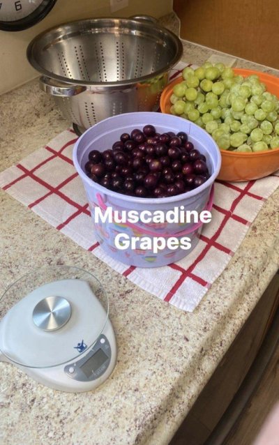 IMG_5542.jpeg