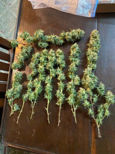 THE TRAINWRECK. Brought to you by thcfarrmer…..