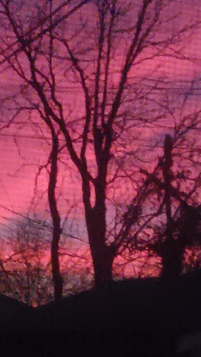 20231217_063246.jpg