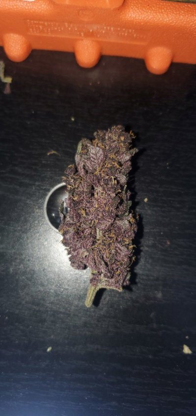 Just got her done drying