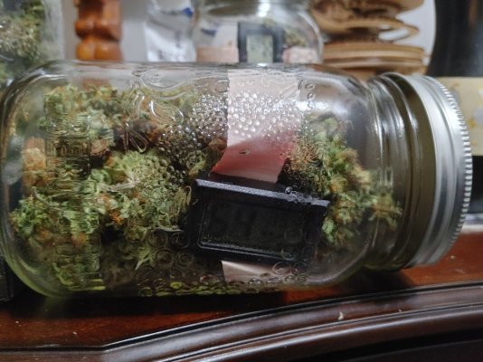 Any suggestions on whens the perfect time to stop drying and start curing?