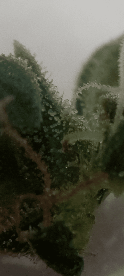 Screenshot_20240106-112142.png