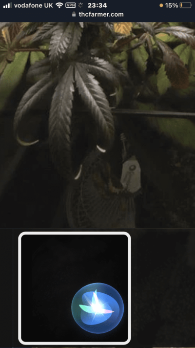 70C2D9DC-772B-4B86-BEA8-FBDF23FADBFF.png