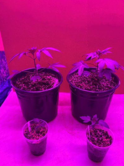 Another new guy and I’ve made mistakes!