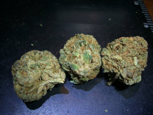 OG#18 009.JPG