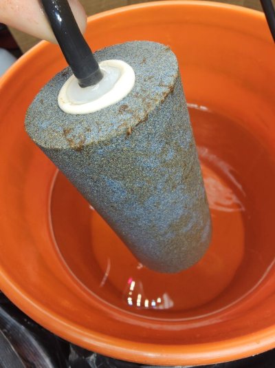 new-dwc-grower-experiencing-pythium-in-my-system.jpg