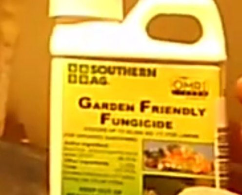 Screenshot_20240215-232602_YouTube.jpg