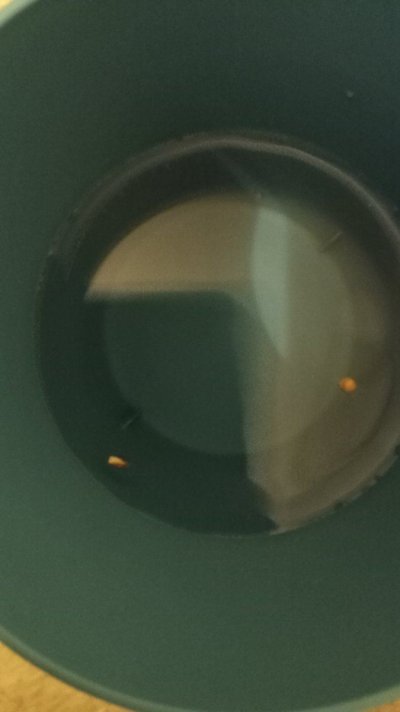 20240217_180911.jpg