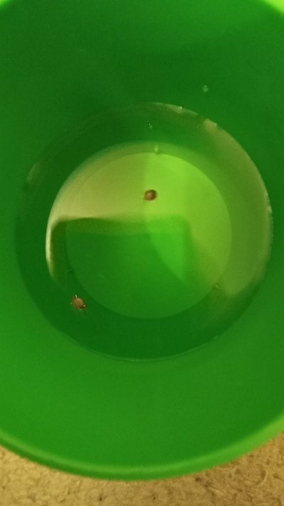 20240217_180903.jpg