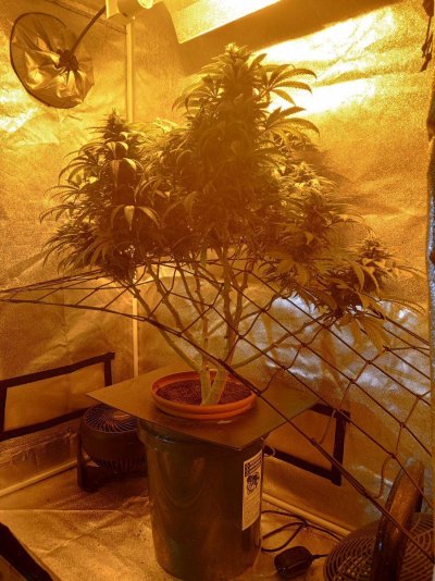 IMG_20240221_155128777_HDR.jpg