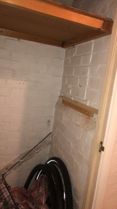 i-have-a-storage-cupboard-with-brick-walls-is-it-with-growing-in-and-how-do-i-have-the-carbon...jpeg