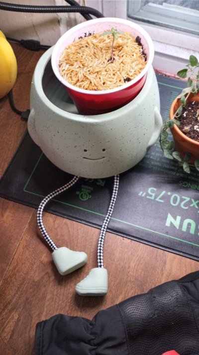 20240302_165557.jpg