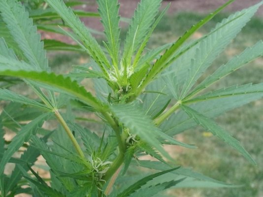 2011-08-23 07.16.44.jpg