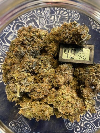 SF4000-1st true grow-veg 1-5 weeks. flower 6-11 weeks-harvest-peach puree cbd.jpg
