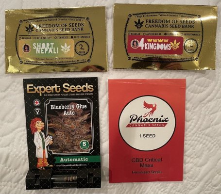 Flying High w . Hawk - 2024 Grow Journal