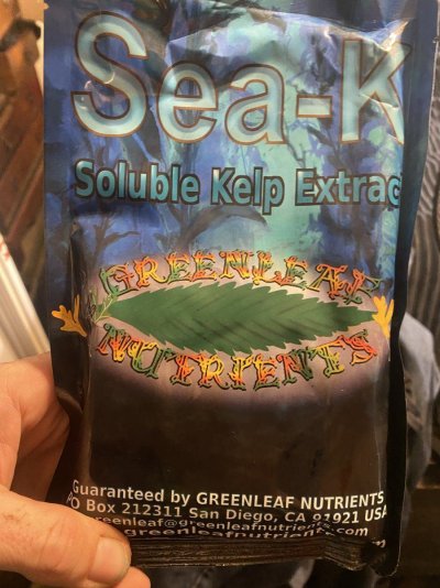 IMG_4054.jpeg