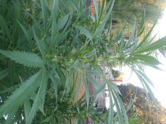 2011-08-27 06.53.18.jpg