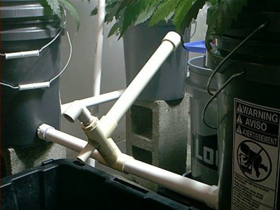 old-hydro-grow-5.jpg