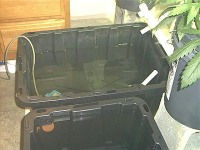 old-hydro-grow-6.jpg