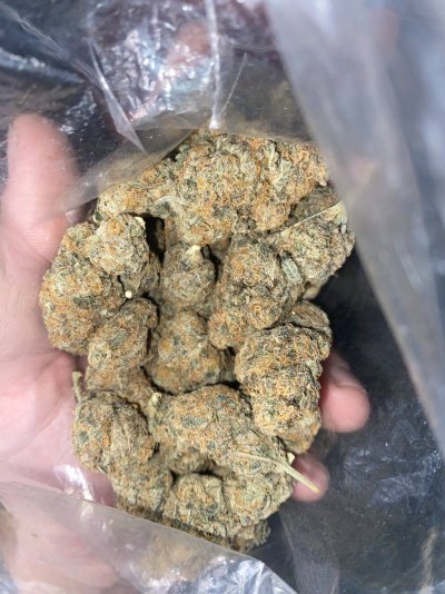 IMG_4394.jpeg