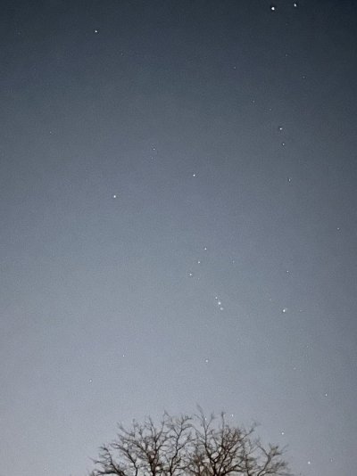 IMG_0747.jpeg