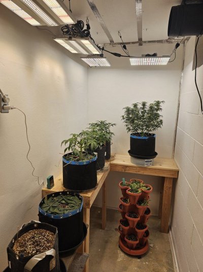 new-auto-room-up-and-running-4.jpg
