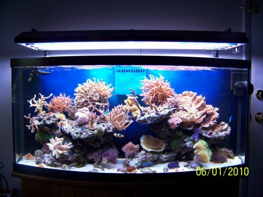 100_1463.jpg