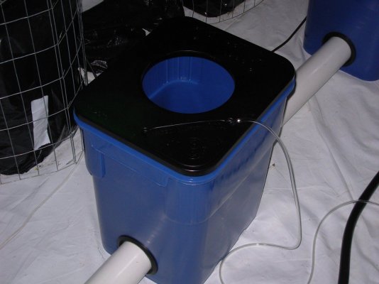 DSCN3861.JPG