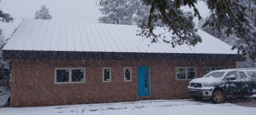 Which  is the most reliable seed bank?