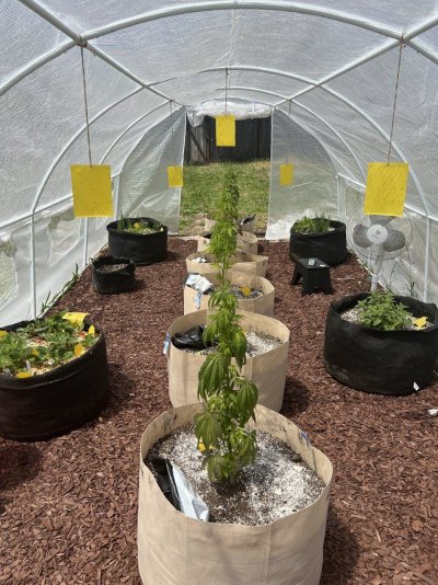 Help! Helping Autistic son with new outdoor grow