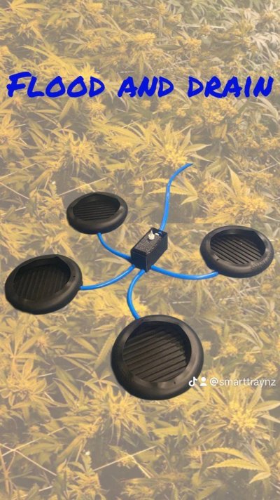 smart-tray-2024.jpeg