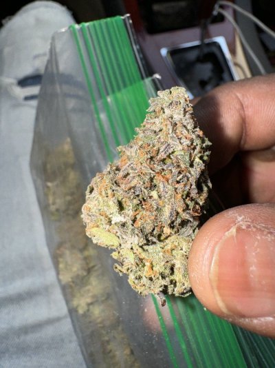 Let's See Your Frostiest Flowers