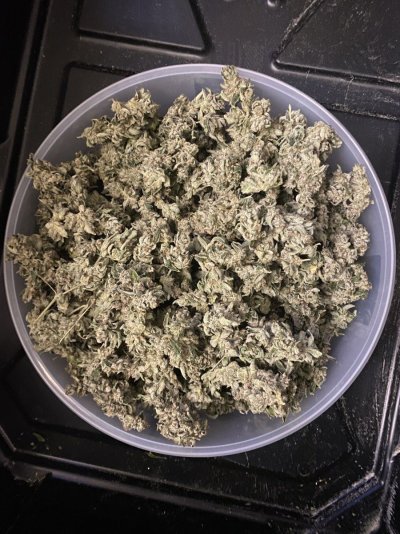 Gelato 33 and karma bx 4 sowahh