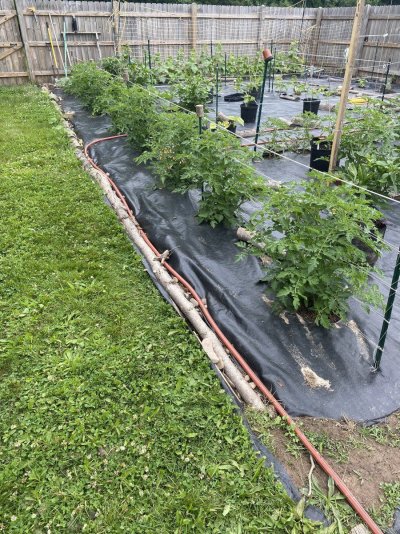 IMG_5199.jpeg