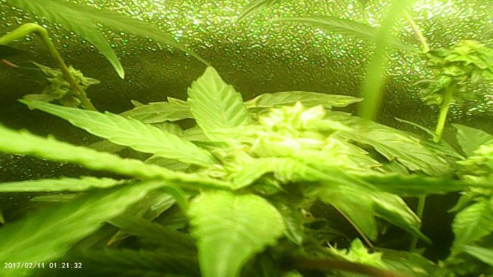 PHO00750.JPG