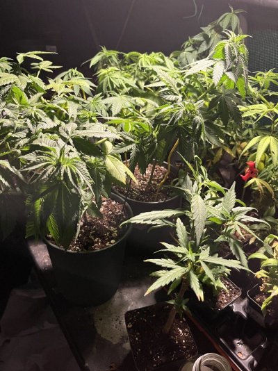 THE TRAINWRECK. Brought to you by thcfarrmer…..